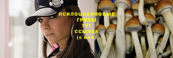 шишки Снежинск