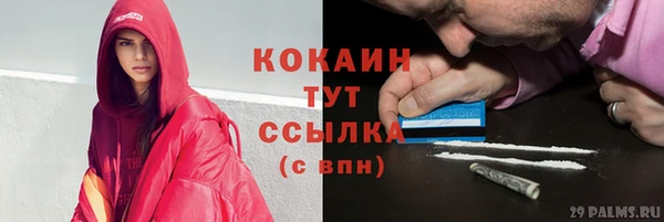 шишки Снежинск
