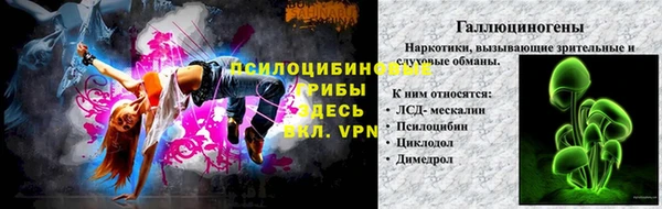 стаф Снежногорск