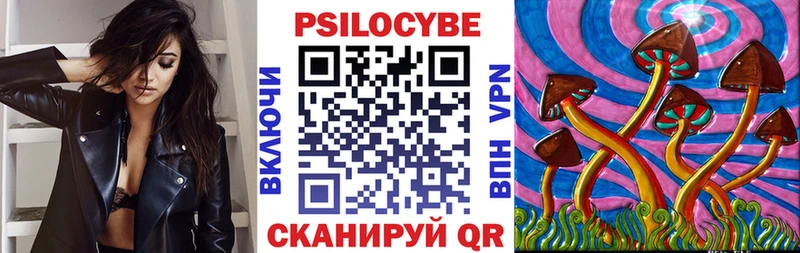 Псилоцибиновые грибы Psilocybe  сколько стоит  кракен ONION  Дальнегорск 